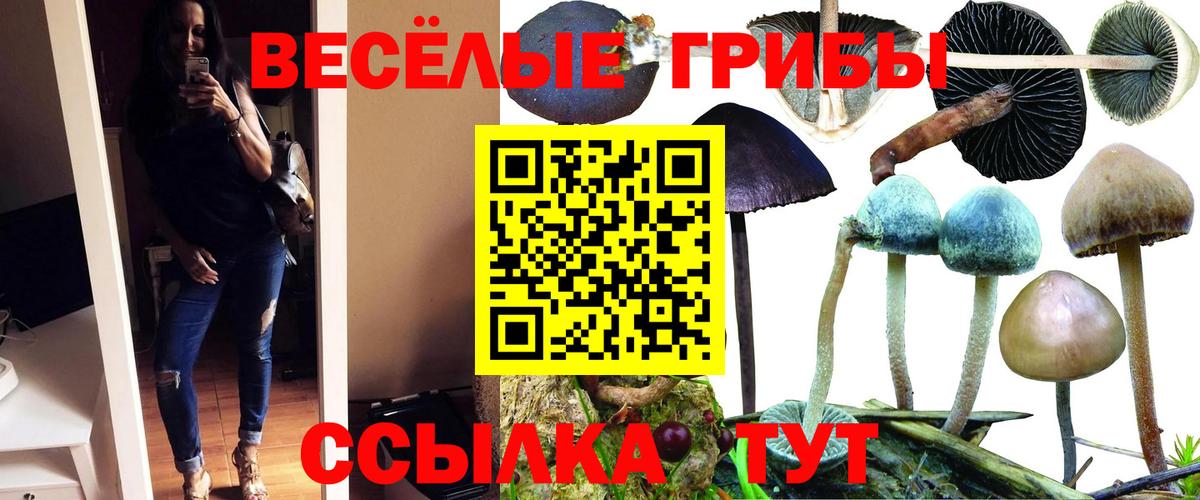Галлюциногенные грибы прущие грибы Видное